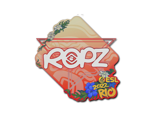 ropz | Rio 2022