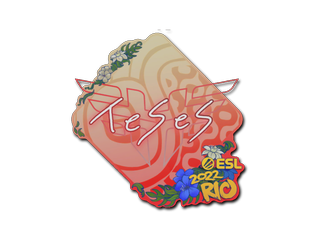 TeSeS | Rio 2022