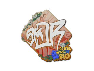 sk0R | Rio 2022