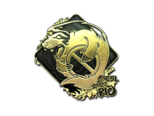 Outsiders (Gold) | Rio 2022
