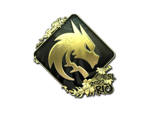 Team Spirit (Gold) | Rio 2022